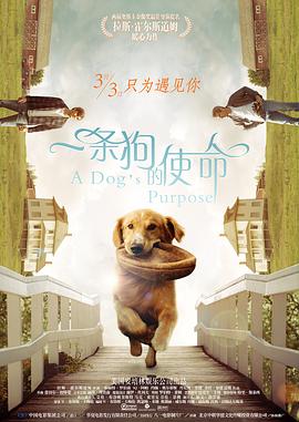 成年视频在线观看