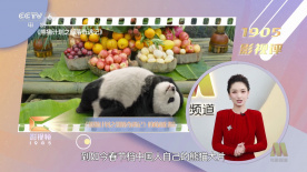 靠逼的
